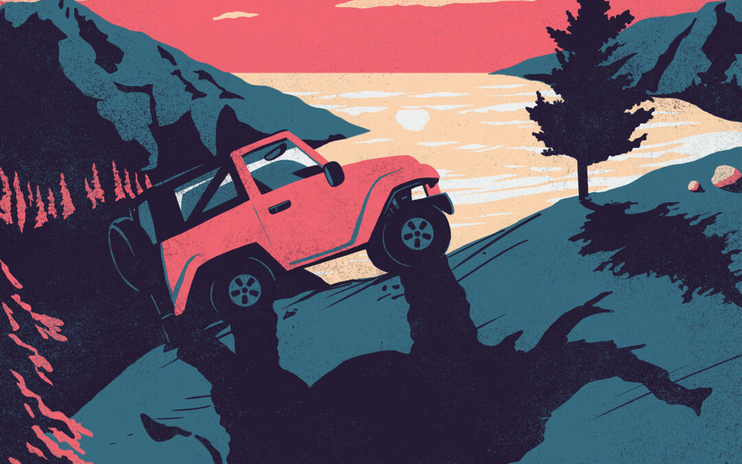 Wild Adventure
